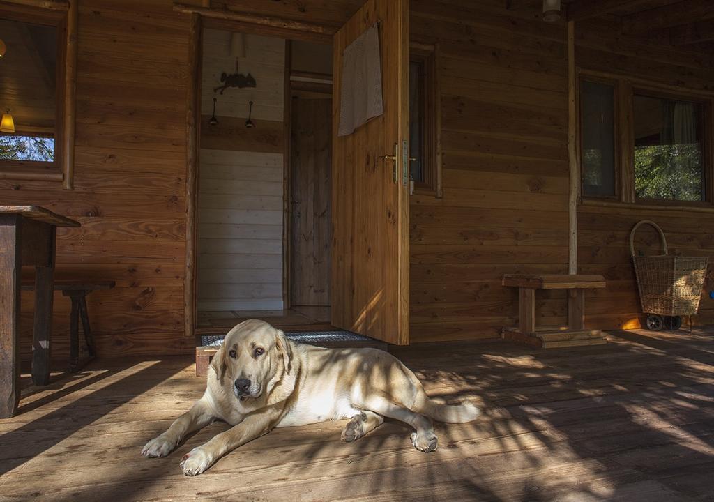 Masia El Moli De Can Aulet アルブシエス エクステリア 写真