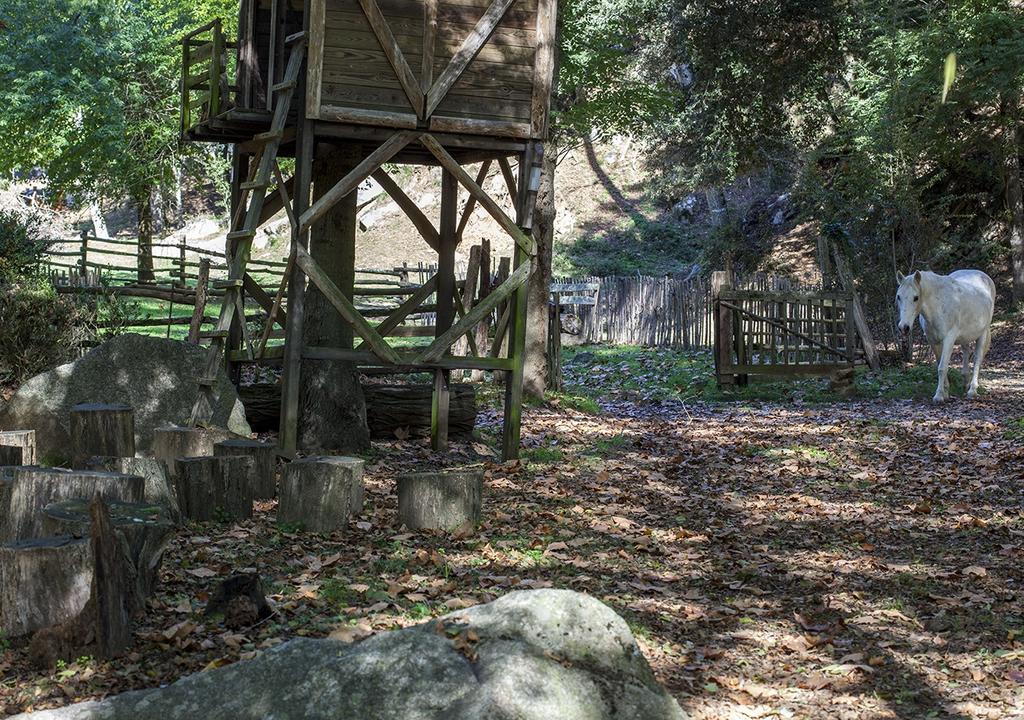 Masia El Moli De Can Aulet アルブシエス エクステリア 写真